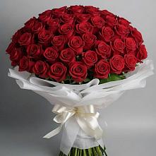 Букет 101 Красная роза Блэк Мэджик в Солнечногорске