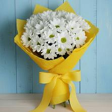 Букет цветов из:  Хризантемы в Солнечногорске