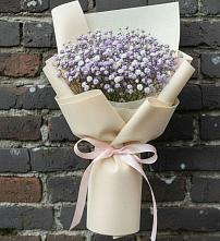 Букет цветов из:  Гипсофила #REPLACE_PRED# Солнечногорске