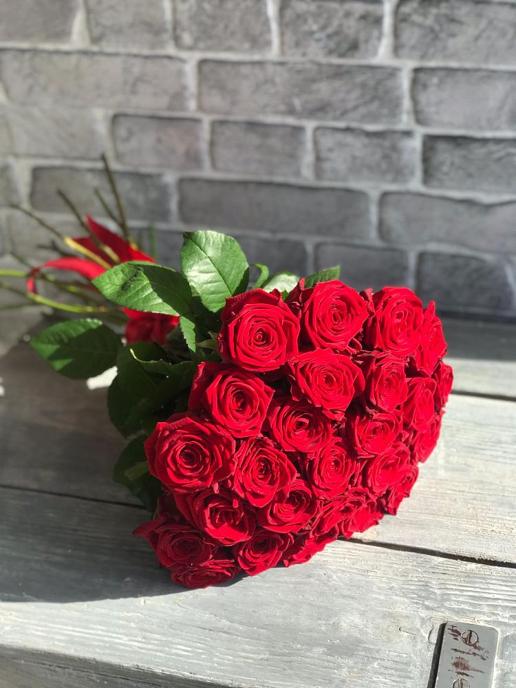 Букет Красные розы Фридом в Солнечногорске