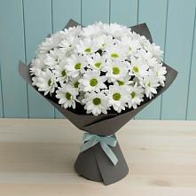 Букет цветов из:  Хризантемы в Солнечногорске