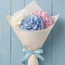 Букет цветов из:  Гортензия в Солнечногорске