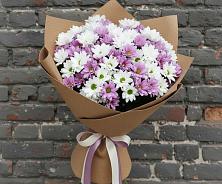 Букет цветов из:  Хризантемы в Солнечногорске