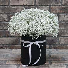 Цветочная композиция из Гипсофила в шляпной коробке в Солнечногорске