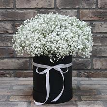 Цветочная композиция из Гипсофила в шляпной коробке в Солнечногорске