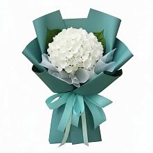 Букет цветов из:  Гортензия в Солнечногорске